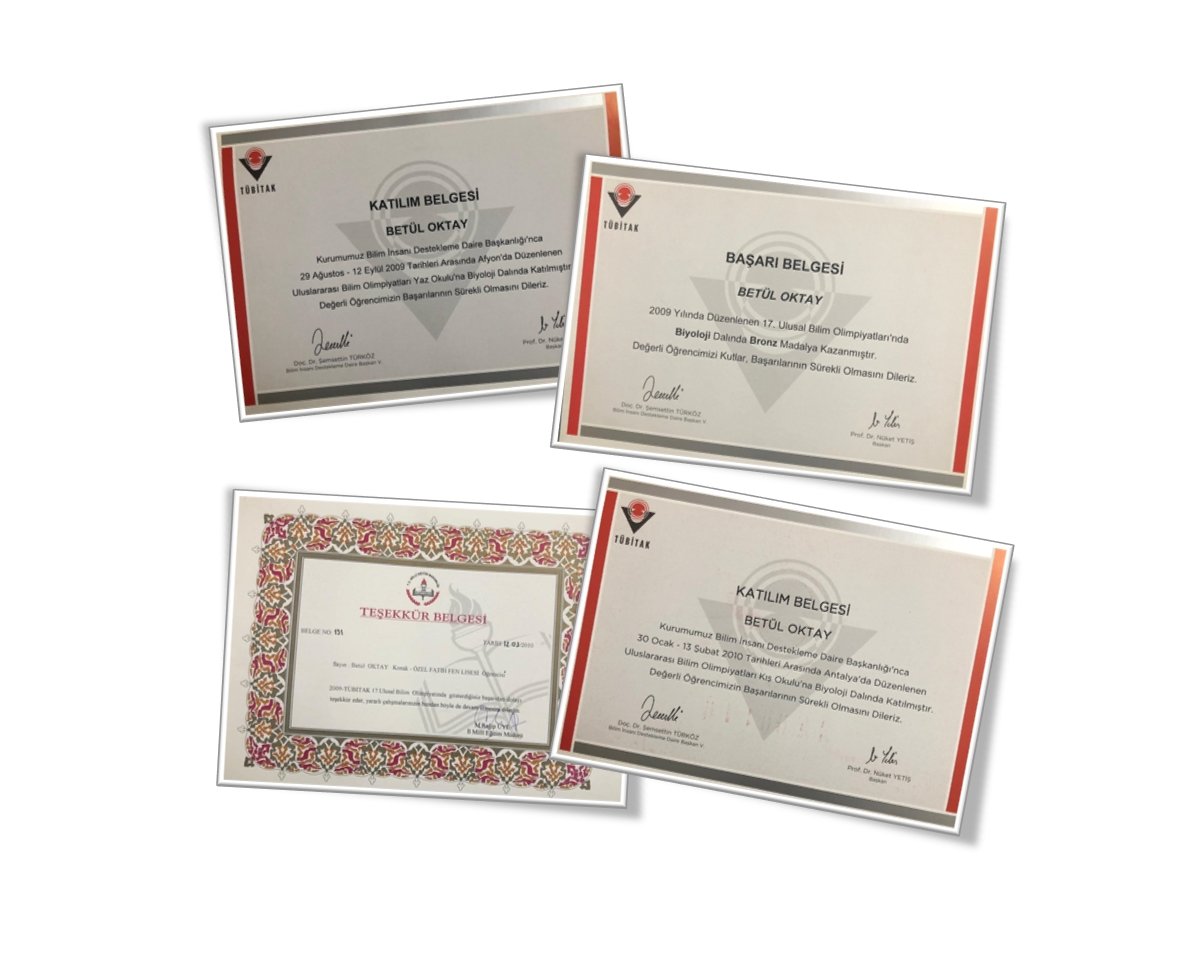 Olympiad Certificates