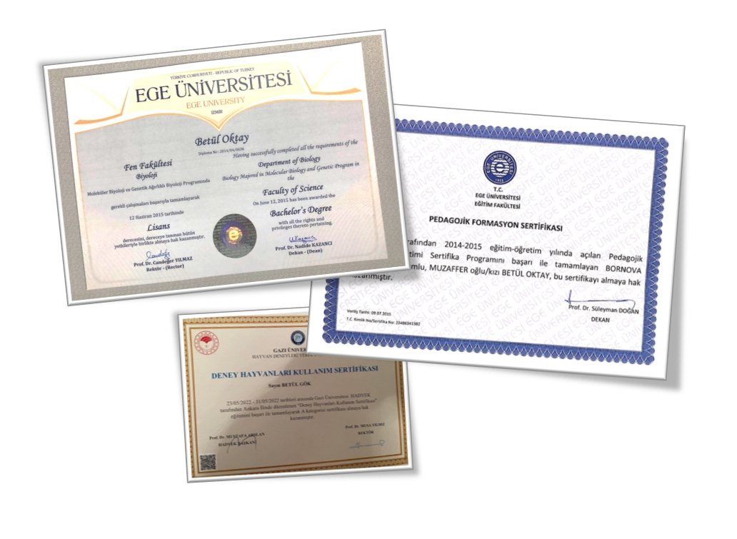 Academic Diplomas and Certificates